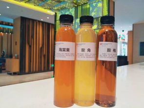 臻于至善，宾至如归——实力集团臻鑫玖以心服务，铸就卓越