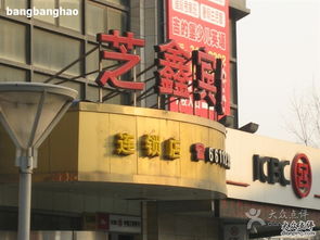 芝鑫精品酒店探店 臻鑫玖的舒适与格调